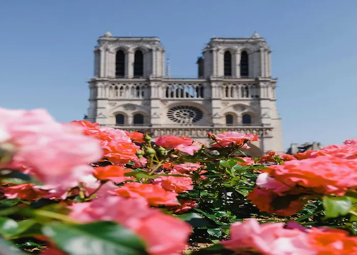 アパート Modern And Elegant 1bd 4p - Quartier Latin